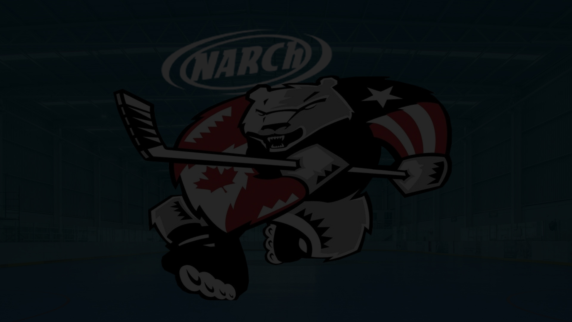 Hockey Rinks